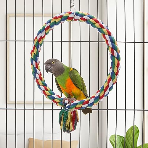 Wontee Bird Swing Colorful Rope Perch Climbing Toy for Parrots (S 7.5inch) | Soft cotton rope, colorful, supports balance, encourages climbing & swinging, for budgie/parakeet/cockatiel/conure - size: Small (7.5 inch)
