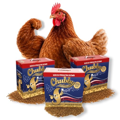 Chubby North American Grown Dried Mealworms | 30 lbs | Non-GMO High-Protein Treats for Chickens, Ducks & Wild Birds – Sustainable Chicken Feed - size: 30 Pound (Pack of 3)