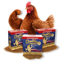 Chubby North American Grown Dried Mealworms | 30 lbs | Non-GMO High-Protein Treats for Chickens, Ducks & Wild Birds – Sustainable Chicken Feed - size: 30 Pound (Pack of 3)