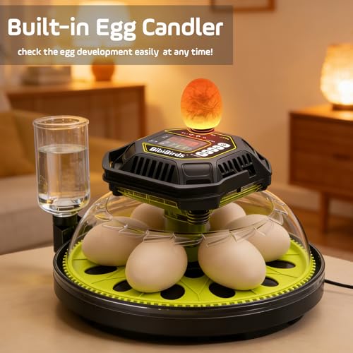 Egg Incubator with Auto Egg Turner and Lock 3Days Before Hatch,Temperature and Humidity Automatic Control with Day Counter Egg Candler,Hatching Chicken Duck Goose Quail Parrot at Home - size: 18H-1