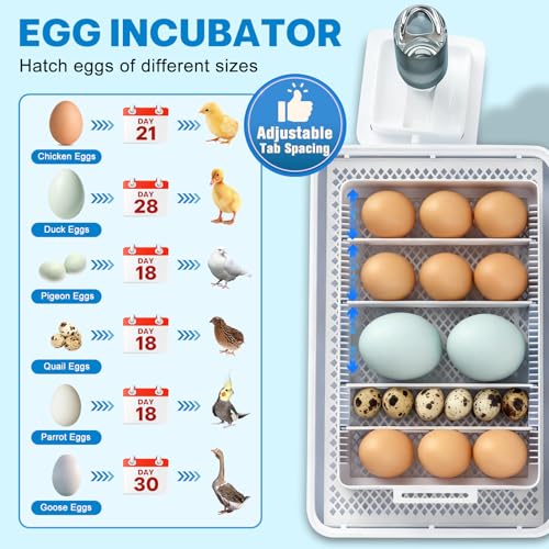 Incubators for Hatching Eggs 15-35 Eggs Incubator with Automatic Egg Turning and Temperature Humidity Control Display LED Candler Poultry Incubator for Hatching Chicken Duck Quail (Blue)
