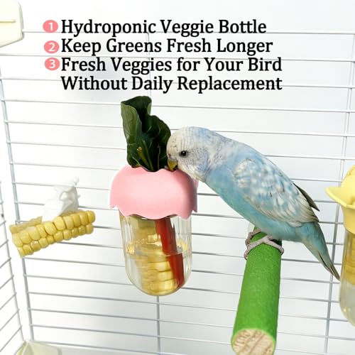 Automatic Bird Cage Feeder No Mess Bird Feeding Station Parrot Vegetable Holder Fruit Clips for Parakeet Cockatoo Canary Lovebirds Budgie (White) - color: White