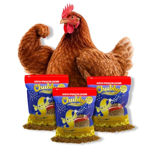 Chubby North American Grown Dried Mealworms | 7.5 lbs | Non-GMO High-Protein Treats for Chickens, Ducks & Wild Birds – Sustainable Chicken Feed - size: 7.5 Pound (Pack of 3)