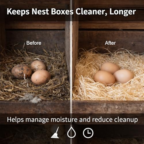 Excelsior Nest Box Pads for Hens - 13inch x 13inch (20 Pack)