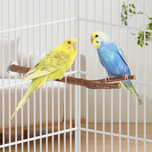 Niteangel Natural Wooden Perches for Bird Cages - Ideal for Cockatiels, Parakeets, Finches & Other Caged Birds (No-Bark, 2 Pack) - color: No-Bark