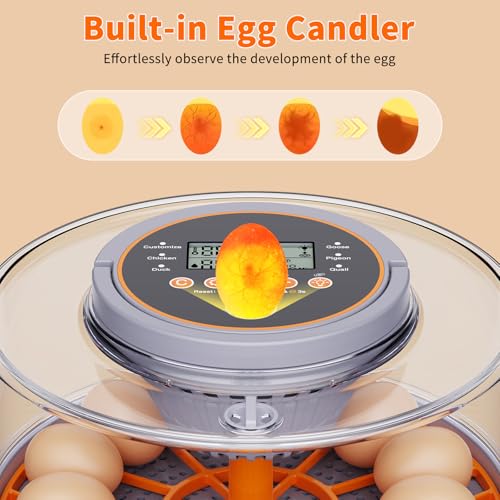 12 Egg Incubators for Hatching Eggs for Home, Classroom and Lab | Incubator for Chicken Eggs,Duck,Goose,Quail,Snake,Egg Incubator with Automatic Egg Turning and Humidity Control - color: gray+Orange