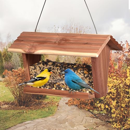 Kaytee Wild Bird Food, Fall Migration Seed Blend, 8 lb - style: Fall Migration