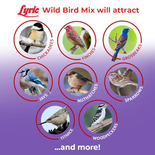 Lyric Wild Bird Mix - Includes Corn, Nuts, and Wild Bird Seed for Outside Feeders, Attracts Doves, Jays and Many More, 40 lb Bag | Includes corn, white millet, sunflower and safflower seeds and peanuts - Attracts Doves, Jays and many more