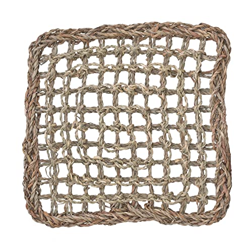 Super Bird Creations SB50003 Seagrass Mat for Cage Decor, Pet Enrichment and Boredom Relief - Versatile Toy-Making Base - Ideal for Parrots - Small to Large Birds & Reptiles - 10"x10" (1 Pack) - size: 10"x10" (1 Pack)