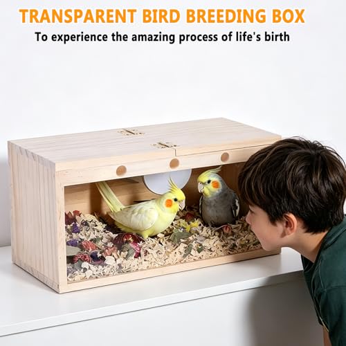 kathson Parakeet Nesting Box,Transparent Parrots Breeding Mating Boxes Nest House,Bird Cage Nesting Box for Cockatiel,Budgie,Lovebirds,Conure,Finch,Canary,L - size: L: 11.81*5.7*5.9 inches