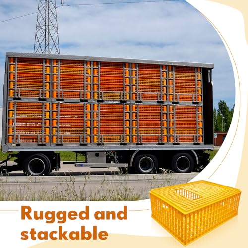 Sintuff Poultry Carrier Crate Plastic Chicken Transport Cage Bird Carriers Chickens Carrier Travel Crate Basket Box for Poultry Chicken Bird Duck Goose, 29.5 x 21.7 x 11.6 Inch (2 Pcs)