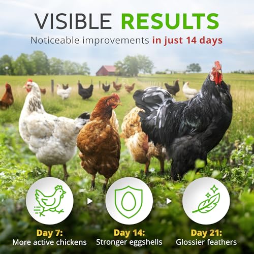 Buff Clucks Herbs Supplement for Chicken Food Natural Poultry Feed, 12 oz | Healthy Chick Snacks for Daily Wellness Feather Quality Egg Production Plant Based Chicken Herbs for Feed Treats for Chickens - size: 12 Ounce (Pack of 1)