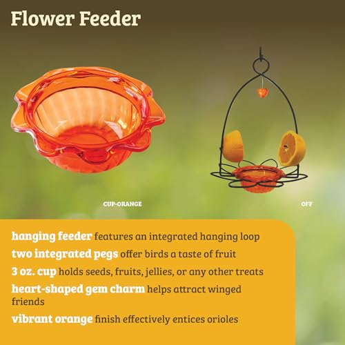 Birds Choice Flower-Shaped Oriole Feeder for Jelly & Oranges | 3oz, Orange | Removable Cup and Fruit Pegs with Heart Ornament, Sturdy for Garden and Backyard, Orange Finish - style: Flower