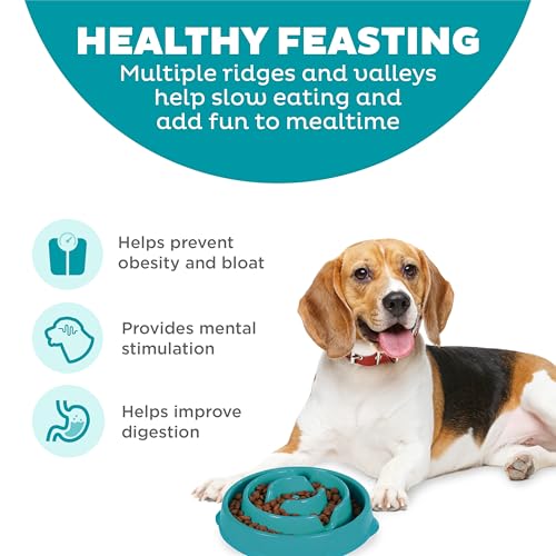 Outward Hound Fun Feeder Slo Bowl – Medium 2‑Cup Capacity, Slow Feeding, Small to Medium Dogs & Cats, Non-Slip, Turquoise, Drop Pattern - color: Turquoise, size: Medium