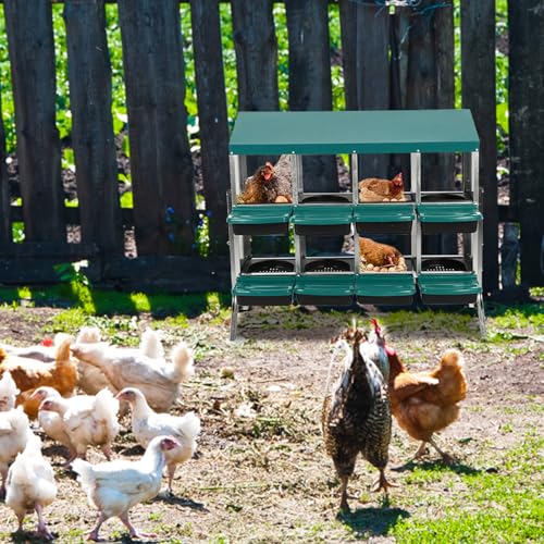 Chicken Nesting Box, Green 8 Hole Chicken Laying Box with Bracket, Tray for Egg Collection, Large Holes for Ventilation, Suitable for Chickens & Ducks - color: Green, size: 47.2"L x 17.7"W x 35.4"H