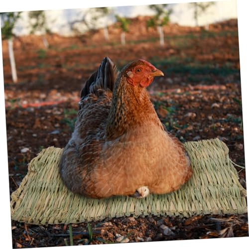 BESPORTBLE Chicken Nesting Pad Straw Mat Poultry Nest Box Liner Chicken Coop Straw Woven Mat Natural Nesting Pads for Eggs