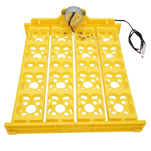Automatic Egg Turner Tray - Multifunction Incubator Tray for 16 Duck Eggs, 72 Quail Eggs (AC12V) - size: AC12V