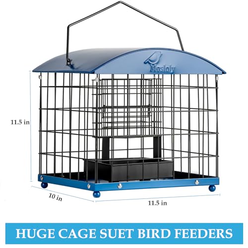 Caged Suet Bird Feeders Squirrel-Proof, Dual-Purpose Suet &Seed Wild Bird Feeders with Tray, Starling-Proof Metal Caged Bird Feeders Outdoors Hanging, 2 Suet Cakes+1lb Seed Capacity, Blue