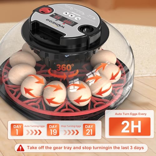 Egg Incubator for Hatching Eggs, 12-Egg Automatic Chicken Incubator | Small Incubator with LED Candler, Auto Turn & Humidity Control for Quail Duck Goose Eggs, STEM Classroom, Farm, 360° Airflow