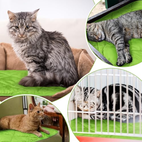 4 Pack Self Heating Cat Pad Self Warming Dog Mat Reflects Body Heat Extra Warm Thermal Pet Pad Washable Dog Cat Bed Crate Bed Mat Blanket(16 x 20 Inch,Green) - color: Green, size: 16 x 20 Inch