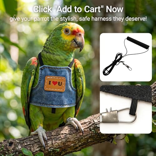 Bird Flight Harness Vest, Adjustable Training Design Anti-Bite, Suit with Leash for Parakeets Cockatiels Conures Budgies, Bird Flying Clothes with Rope and Handle (Cowboy L) - color: cowboy, size: L