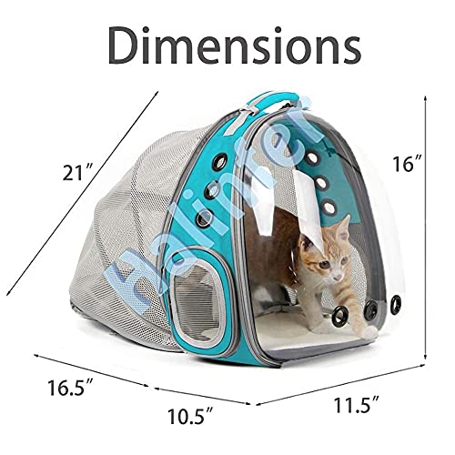 Back Expandable Cat Backpack Carrier, Fit up to 12 lbs, Space Capsule Bubble Window Pet Carrier Backpack for Cat and Small Puppy - color: Green