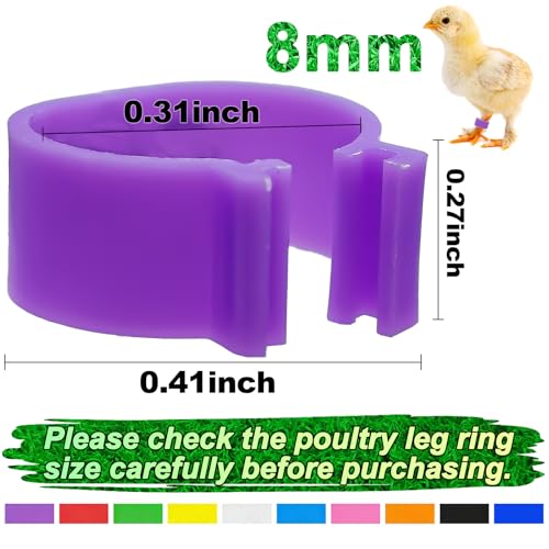 Keedolla 200 Pcs 8mm Bird Quail Leg Rings with 10 Color Bird Pigeons Identification Leg Bands Clip on Colorful Poultry Ankle Tags for Bantam Quail Dove Lovebirds Finch Small Poultry - size: 8mm - 200pcs