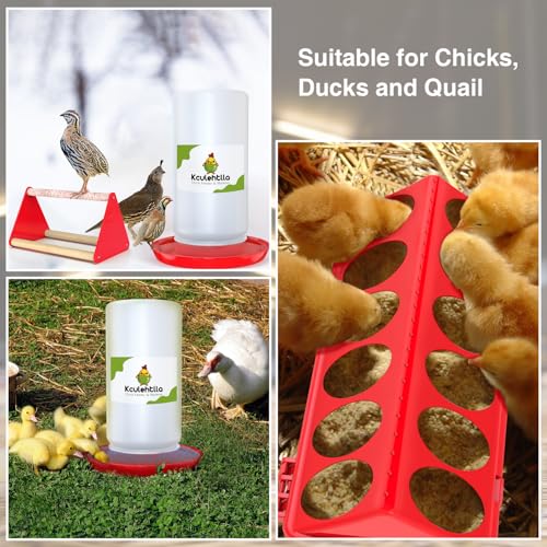 Chick Feeder and Waterer Kit - Baby Chicken Supplies with Chicks Perch, Plastic Feeder Trough and 1.2L Waterer, Chicken Starter Kit for Coop and Brooder for Small Poultry Ducks Quail - color: Red 1