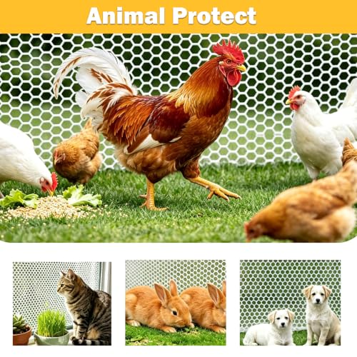 Jollybower 15.7IN x 10FT Plastic Chicken Wire Mesh Fence, Easy Install Chicken Wire Fencing, Garden Netting & Animal Barrier for Animals,Plant,Pet-1pack，White - color: White