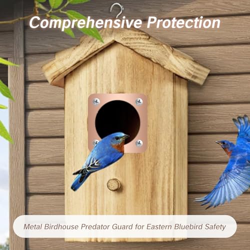 4 Pieces Birdhouse Predator Guard Copper Portal Metal Protector for Eastern Bluebird Houses 1 1/2 Inch Hole Guardian Baffle Mounting for Wren and Snake Defense(Rose Gold)