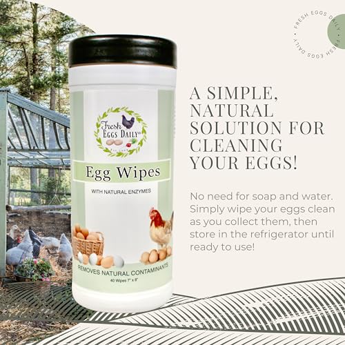 Fresh Eggs Daily Egg Wipes – Enzyme-Based Egg Cleaner for Backyard Chickens, No Rinse Needed, Natural Enzyme Formula - Natural Cleaning Wipes (2-Pack) - size: 40 Count (Pack of 2)