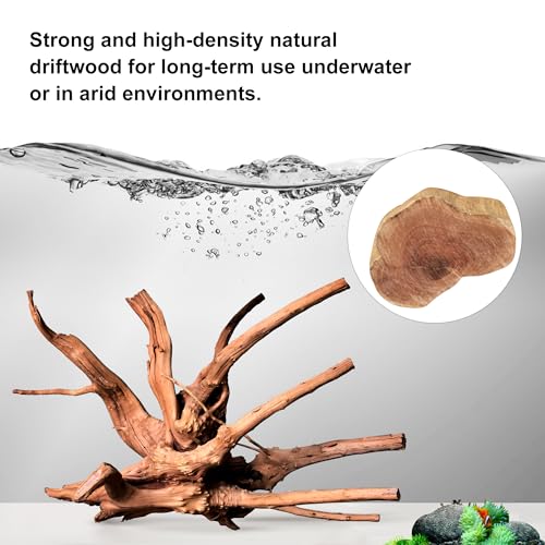 Natural Small Driftwood for Aquarium Decor Fish Tank Decor Reptile Decor | Assorted Driftwood Branch, Natural Driftwood for Aquascaping and Reptile Decor - size: Spiderwood 4 to 8 Inch(Pack of 5)