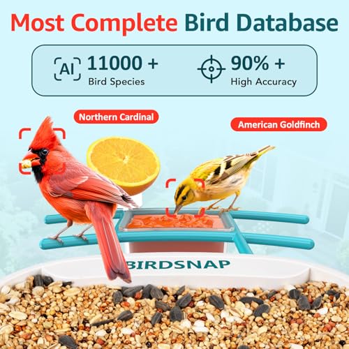 birdsnap® TUC Bird Feeder with Camera Solar Powered 2K Video with 32GB Card | AI Bird Species Identification, Squirrel-Proof, IP65 Waterproof, Outdoor Wireless, 2.4G WiFi, Gift for Mom Dad Bird Lovers - color: Blue