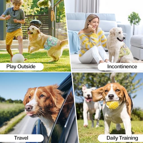 Washable Dog Diapers Male Reusable, Premium Belly Bands for Male Dogs, Pack of 3, High Absorbing Extra Large Male Dog Pee Wraps for Doggies in Incontinence or Excitable Urination and Training(XL) - size: X-Large