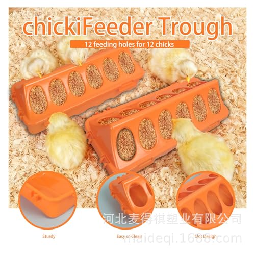 YANZI Chick Feeder and Waterer Kit, Baby Chick Starter Kit with Chick Perch for Small Poultry Ducks Quail