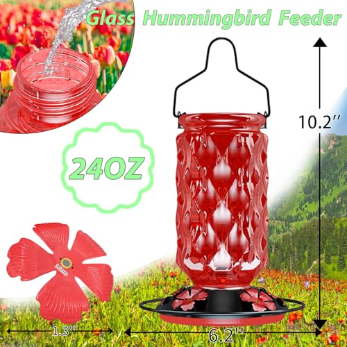 24OZ Glass Hummingbird Feeders for Outdoors Hanging,Five Feeding Ports with Perch, Leak Proof for Gardens Decor Backyard, Bird Feeder for Outside, Birthday Gifts for Women Men, Gifts for Mom Dad - color: Red