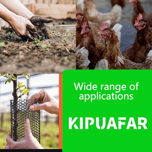 Pet Proof Barrier Net, Black Plastic Chicken Wire Mesh Fencing 15.7IN x 6.56FT, Balcony Cat Safety Net & Garden Snake Barrier, Heavy Duty Protection for Chicken Coops, Rabbit Hutches, Dog Kennels - color: Black, size: 15.7 IN * 6.56 FT