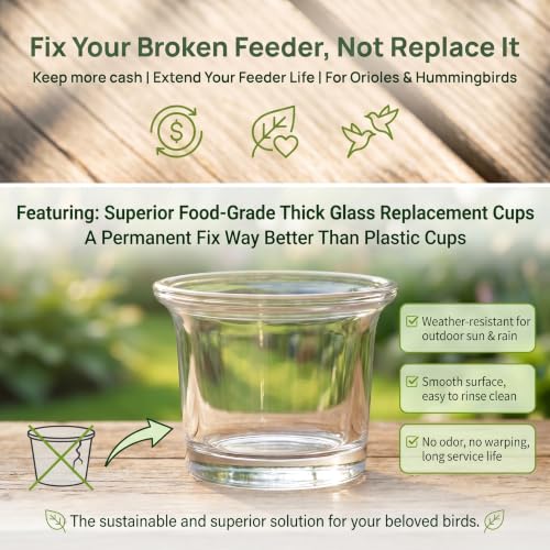 SUPVOX 1 Pack Oriole Feeder Replacement Glass Cup | 2.5 Inch Universal Bird Feeder Jelly Bowl, Glass Feeding Cup for Hummingbird Feeders, Outdoor Garden Patio Balcony Use