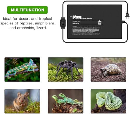 iPower 8x12 Inch Reptile Heating Pad with Adjustable Controller Knob, Under Tank Heater Mat for Turtles, Lizards, Snakes, Amphibians & Small Pets, 2 Pack - size: 8 X 12 Inch, style: 2 Pack Heat Pad with Adjustable Knob