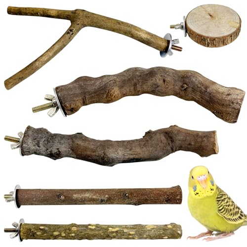 6 PCS Bird Perch Set Natural Wood Parrot Stand Branch Hanging Parakeet Chewing Stick Paw Grinding Fork Platform Bird Cage Accessories for Cockatiel Budgies Conure (Large) - size: Wooden:11.8 Inch
