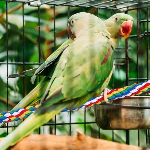 Gemscream 2-Piece Bird Rope Perch and Swing, 94.5'' and 47'' Spiral Bird Ladder for Cockatiels, Parrot Swing Climbing Toys with Bell