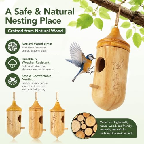 CHILDLION 3 Pack Hummingbird House, Small Hummingbird Houses for Outside, Weatherproof Wooden Hummingbird Houses for Nesting, Hanging, Gardening Gifts Home Decoration