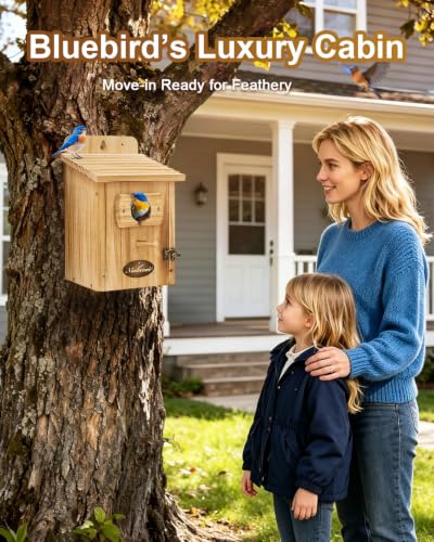 2-Pack Outdoor Birdhouse Made of Pine Wood, 1-1/2-inch Entry Hole, Suitable for Bluebirds, Chickadees, Goldfinches, Warblers, and Titmice—Assembly Required - color: Natural wood color