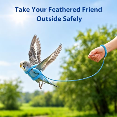 Pet Parrot Bird Harness and Leash, 2m Adjustable Polyester Rope with Cute Wing, Bird Flying Harness for Parrots, Pigeons, Budgerigars, Lovebirds, Cockatiels Outdoor Use - color: Blue, size: S