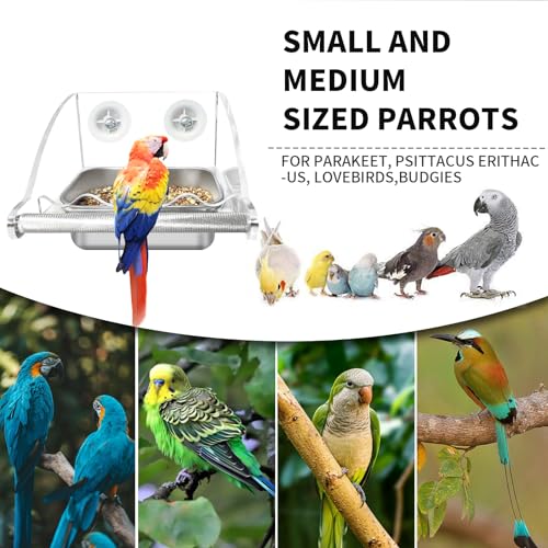 Bird Feeder for Cage,No Mess Bird Feeders, with Anti-Slip Stand, Stainless Steel Bird Bowls Parakeet Feeder for Parakeet, Psittacus Erithacus, Lovebirds,Budgies