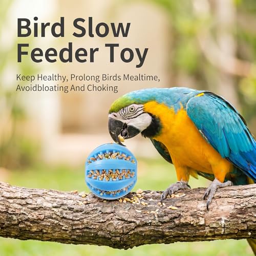 Gjinxi Parrot Feeder Chew Toy Ball Bird Foraging Interactive Balls Sharpening Teething Claws Beaks Toy for Small Medium Animals Parakeets Macaws Lovebirds Budgie Hamsters Guinea Pigs Cockatiel Parrot
