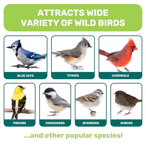 Wild Bird Seed 5 Lbs, Premium Mixed Wild Birdseeds, Nut Free Mix Feed, Nutrient-Rich Birdseeds, Supports Daily Energy Growth & Healthy Balanced Diet, Bird Seed for Outside Feeders