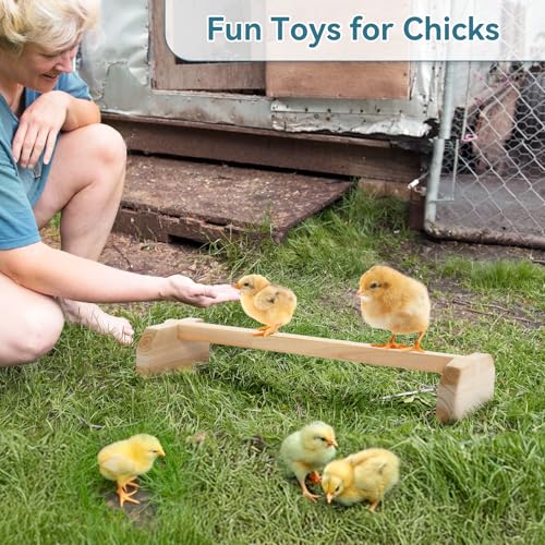 PETSFIT Baby Chick Roosting Bar, Anti-Rotation, Solid Wood, for Brooder | Fits Chicks and Small Birds, Thickened Wooden Perch, Safe for Brooder and Coop, Easy to Assemble and Clean, Non-Toxic Wood