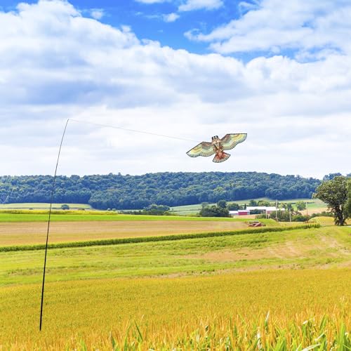 Bird Scare Flying Kite with 4m Pole Has The Effect of Scaring Birds-Owl | deal for gardens farms and docks|Keeps birds geese and seagulls away |Owl-shaped bird repelling device - color: yellow