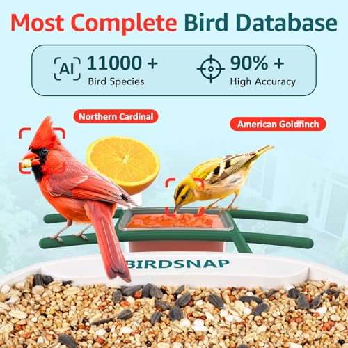 birdsnap® TUC Bird Feeder with Camera Solar Powered 2K Video with 32GB Card | AI Bird Species Identification, Squirrel-Proof, IP65 Waterproof, Outdoor Wireless, 2.4G WiFi, Gift for Mom Dad Bird Lovers - color: Yellow